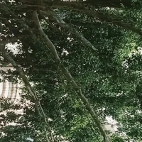 _          _