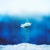 All (trừ ai thì trừ)