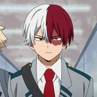 Todoroki shouto