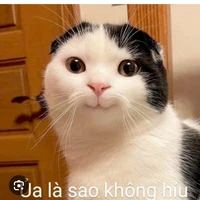tác giả ngáo