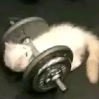 tác giả bị khùng=))