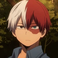 SHOTO TODOROKI