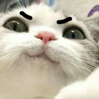 Tg