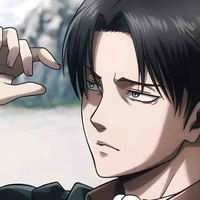 Levi