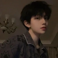 Lưu Vân Liễu Bắc⟬♌︎⟭