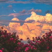 Nhân vật qua đường