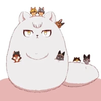 Shinsuke Kita