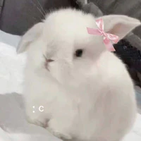 Admin Trường cuteo