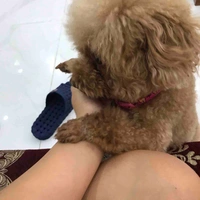 tác giả 2