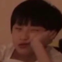 Đinh Chu Dịch