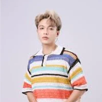 Việt hoài - vịt