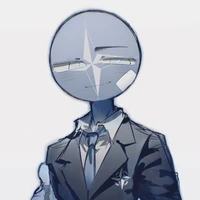 North Atlantic Treaty Organization(NATO)