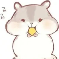 hệ thống câpSS [hana]