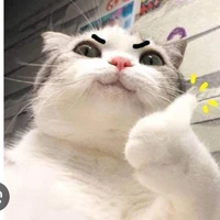 Me