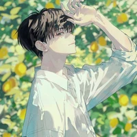 nvp nam