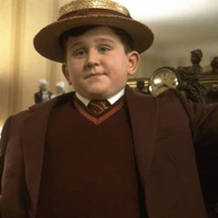Dudley Dursley