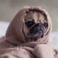 Làng Gốm Bát Tràng