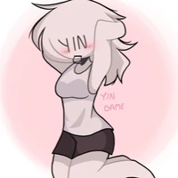 Y/N