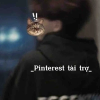 Nguyễn Bảo Hoàng