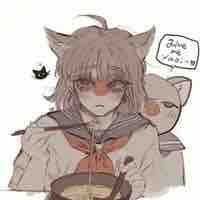 Nekomi Japan