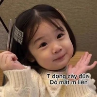 súp bờ men