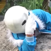 sans