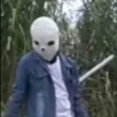 lost sans