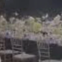 Tất cả mọi người