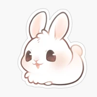 You(bạn)