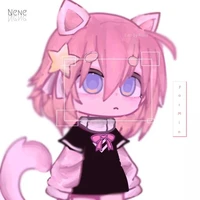 Y/N