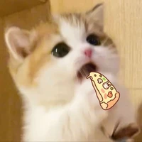 Tác giả 