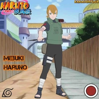Mebuki Haruno