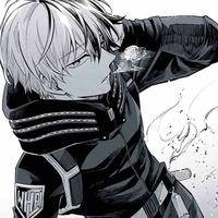 Todoroki Shoto 