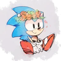 Sonic(cậu)