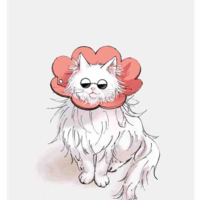 Meo meo 🤡