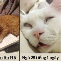 Nhà văn trữ tình