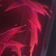 Nhân Vật Quần Chúng