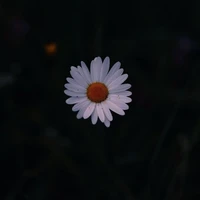 T/g
