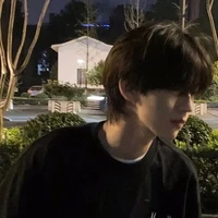 Âu Hàn Lâm - B