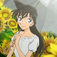 Mori Ran