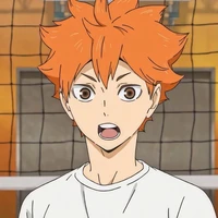 Shoyo Hinata