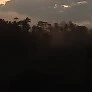 cảnh sát