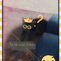 Tác giả 