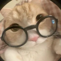 Tác giả chứ aii