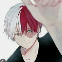 Todoroki Shoto