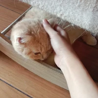 All_ những người cần trừ