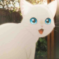 Iri