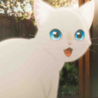 Iri