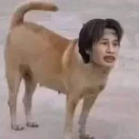 Lương - gái quảng ninh
