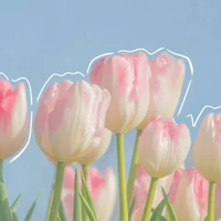 tynh là tớ🌷
